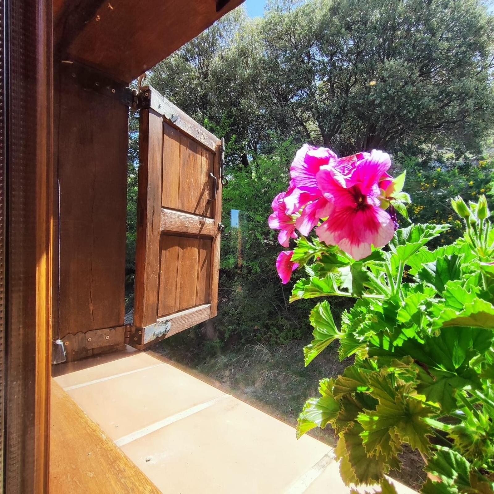 Refugio Del Aguila "Casa Diaman" Guest House Guejar Sierra Luaran gambar